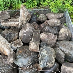 庭石貰って下さい