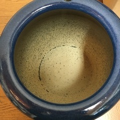 火鉢 青 直径23.5 高さ25 メダカの画像
