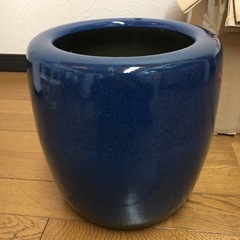 火鉢 青 直径23.5 高さ25 メダカの画像