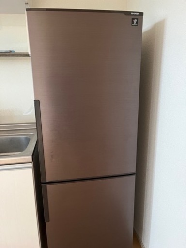 本日限定で値下げします！2016年製　SHARP 冷蔵庫　271ℓ
