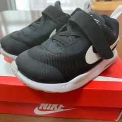 13センチ