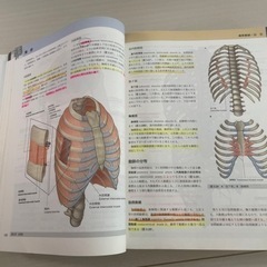 グレイ解剖学　2版の画像