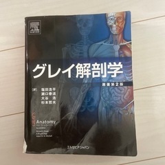 グレイ解剖学　2版