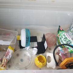 ハムスター飼育セット