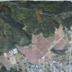 【値下げしました】4筆合計2251坪の山林です