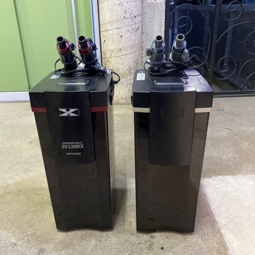 水槽　濾過槽　熱帯魚