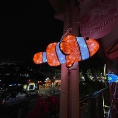 急募　今月中に水族館に行ってくれる方！