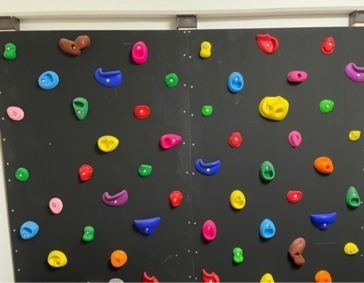 ボルダリング　ウォール　壁　パネル　ホールド　スポーツクライミング　2枚セット