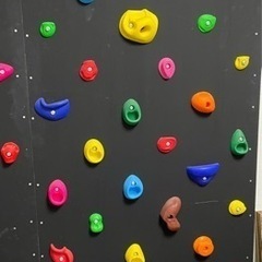 ボルダリング　ウォール　壁　パネル　ホールド　スポーツクライミング　2枚セットの画像