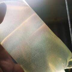 ゾウリムシ入り　500mlペットボトル　生き餌　300円