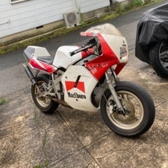 TZM50 レーサー　(YSRカウル、YEC)(検、nsr50、ns1、tzr50、12インチ、ミニバイク、レーサー)の画像