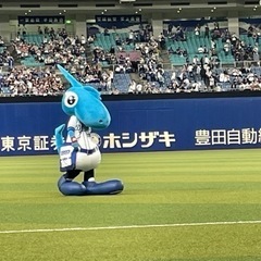 岐阜ドラゴンズ⚾︎