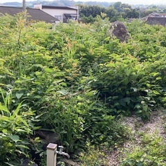 庭の草抜き、草刈り　時給1500円相当