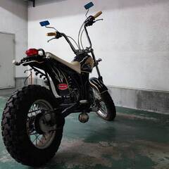 【値引き可】ヤマハ　TW200　不動車の画像