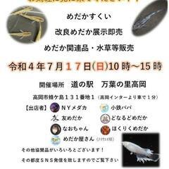めだか合同即売イベント開催