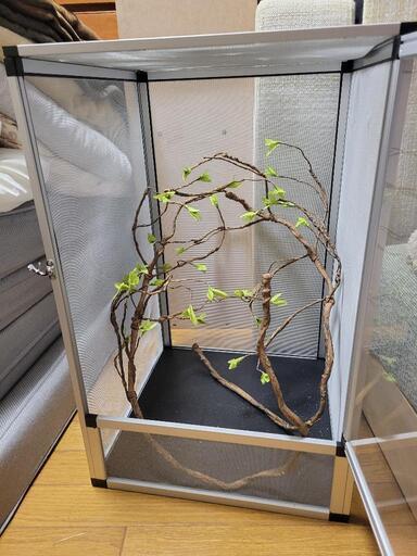 【決まりました】爬虫類飼育用ゲージ