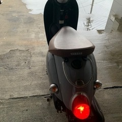 ビーノの画像
