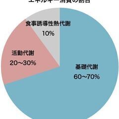 【実体験】ホットヨガ カルド(CALDO)に通って、約7㎏ダイエット成功の画像