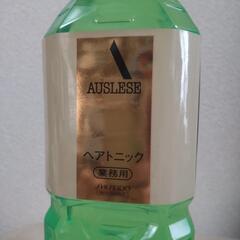 厚木方面🆗アウスレーゼ２L 業務用 の画像
