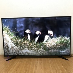 即日受渡❣️3年前購入55型4K HDR対応 液晶TV33000円