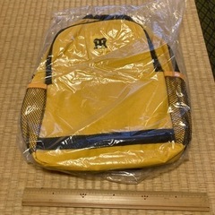 【決まりました】阪神タイガース　キッズリュック