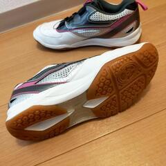 ★お取引中★【美品】TIGORA バドミントンシューズ 26.0cmの画像