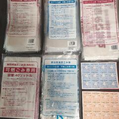 希少ポケパークキーホルダーピチュー