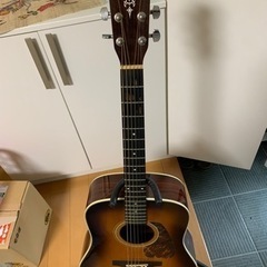 アコギ　MORIS M-401