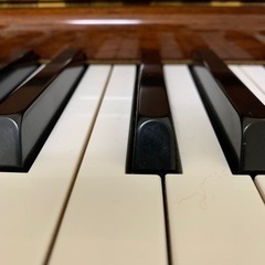 ピアノレッスン🎶ソルフェージュ🎶リトミック🎶の画像