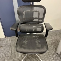 エルゴヒューマン
