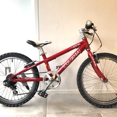 ルイガノ 20inch 子供自転車