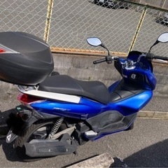 PCX 即引き渡し可能の画像