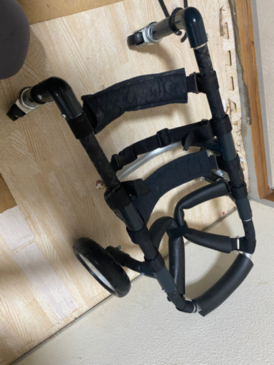 犬用・車椅子決まりました
