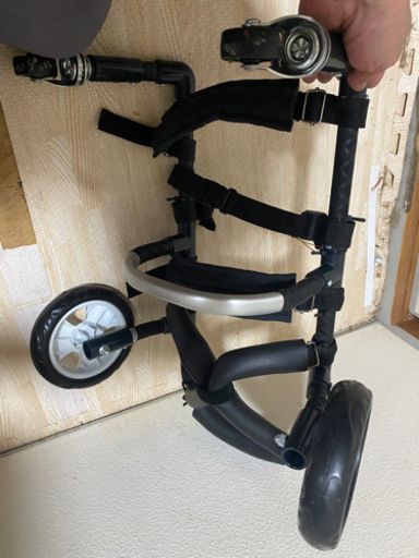 犬用・車椅子決まりました