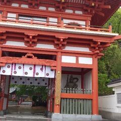 総合文化部メンバー募集！！