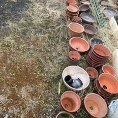 植木鉢各種
