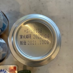 酎ハイ 生ジョッキ缶 生茶 はごろもフーズフルーツの画像