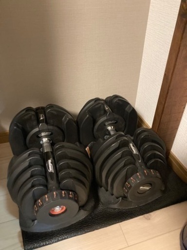 アジャスタブルダンベル40kg×2、ディップスタンド