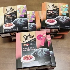 シーバ　デュオ　まとめ売り　36箱 Amazon | シーバ (Sheba) デュオ 香りのまぐろ味セレクション 成