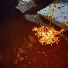 一緒に花火しましょ！