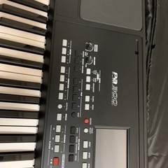pa 300 organの画像