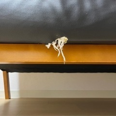 お値下げしました！　二人掛けソファ　黒　合皮の画像