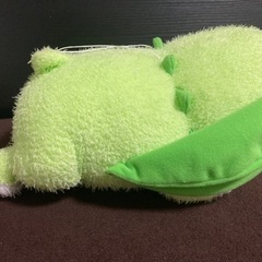 チコリータお譲りします。の画像