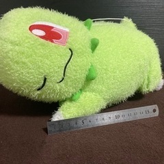 チコリータお譲りします。の画像