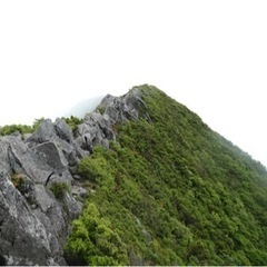 ハイキング仲間募集⛰✨　8/7で近場を計画中♪ - スポーツ