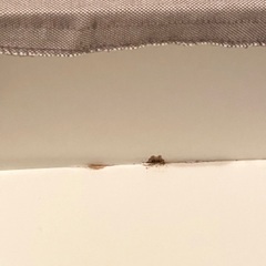 IKEAイケア／オットマン　KIVIK シーヴィクの画像