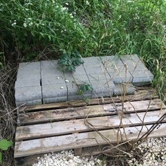 3年目！今年もやります！ブロック取り放題！の画像