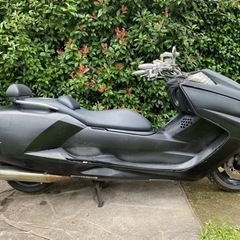 YAMAHA マグザムの画像