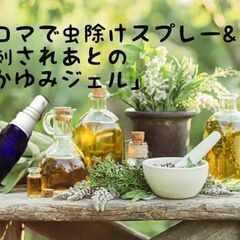 夏を思いっきり!楽しめる♪ アロマで嫌な虫から肌守リケア