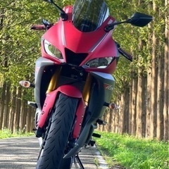 YZF-R25 ABS 2019年式 の画像